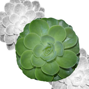 Green Succulent Photographic Botanical  Round Cushion