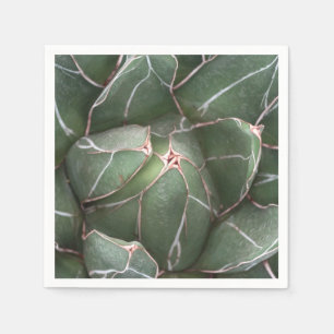 Green Succulent Plant Photo Cocktail Paper Napkins