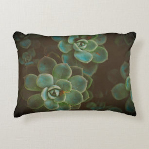 Green Succulent Plants Decorative Cushion