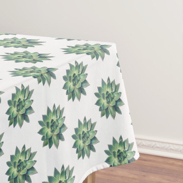 Green Succulent Plants on White Tablecloth (In Situ)