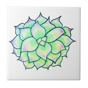 Green Succulent Tile