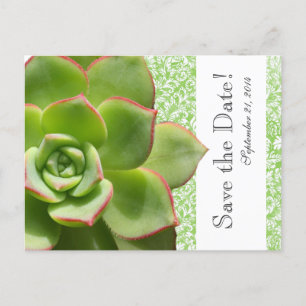 Green Succulent Vintage Damask save the date Announcement Postcard