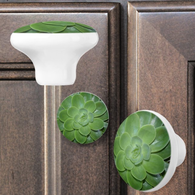 Green Succulents Botanical Photographic Ceramic Knob (Creator Uploaded)