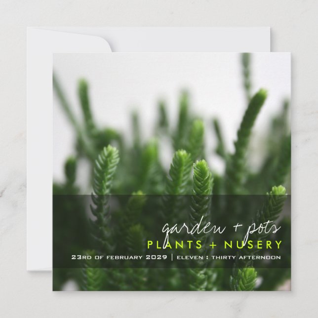Green Succulents Grass Plant Photo Modern Party Invitation (Front)