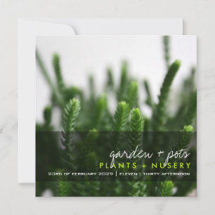 Green Succulents Grass Plant Photo Modern Party Invitation