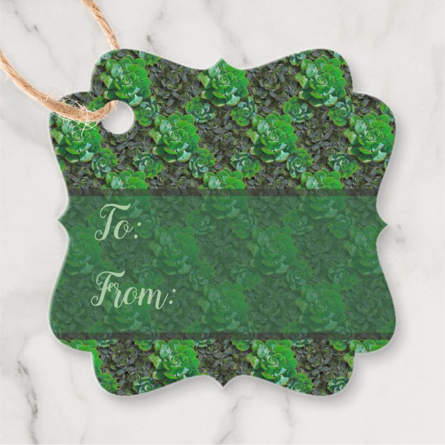 Green Succulents Lattice Pattern Gift Tags (Front)