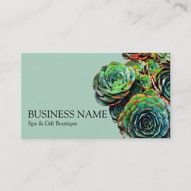 Green Succulents Modern Chic Business Card (Front)