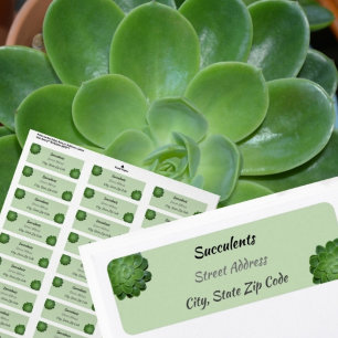 Green Succulents photographic Return Address