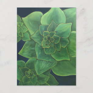 Green succulents postcard