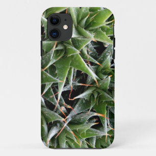 Green Suculents iPhone SE + iPhone 5/5S iPhone 11 Case