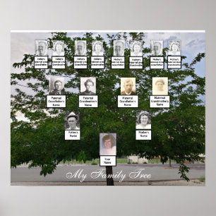 Green Summer Family Tree Photo Poster