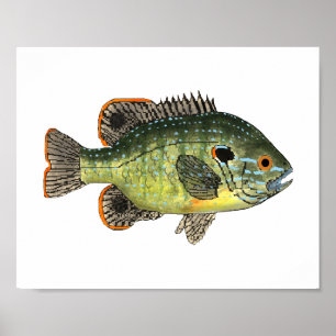 Green Sunfish T-Shirt Poster