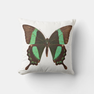 Green Swallowtail Butterfly Cushion
