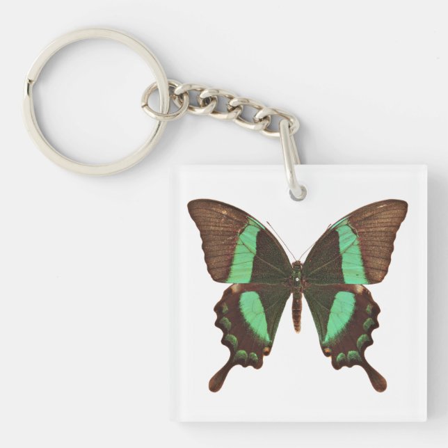 Green Swallowtail Butterfly Key Ring (Front)