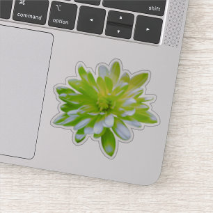 Green teal yellow floral flower retro Daisy