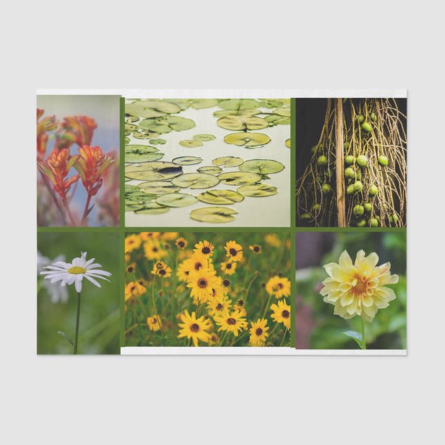 Green Theme Flowers Plants Lily Pad Mixed Media Tissue Paper (Front)