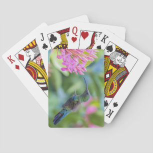 Green Throated Carib Hummingbird Cards