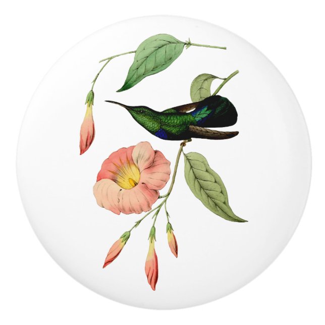 Green Throated Carib Hummingbird Ceramic Knob (Front)