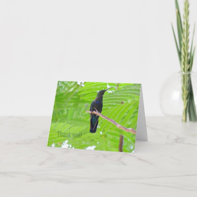 Green Throated Carib Hummingbird Note Card (Front)
