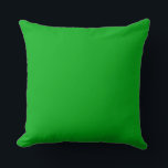Green Throw Pillow 20" x 20"<br><div class="desc">This is for the pillow lovers. Cool!</div>