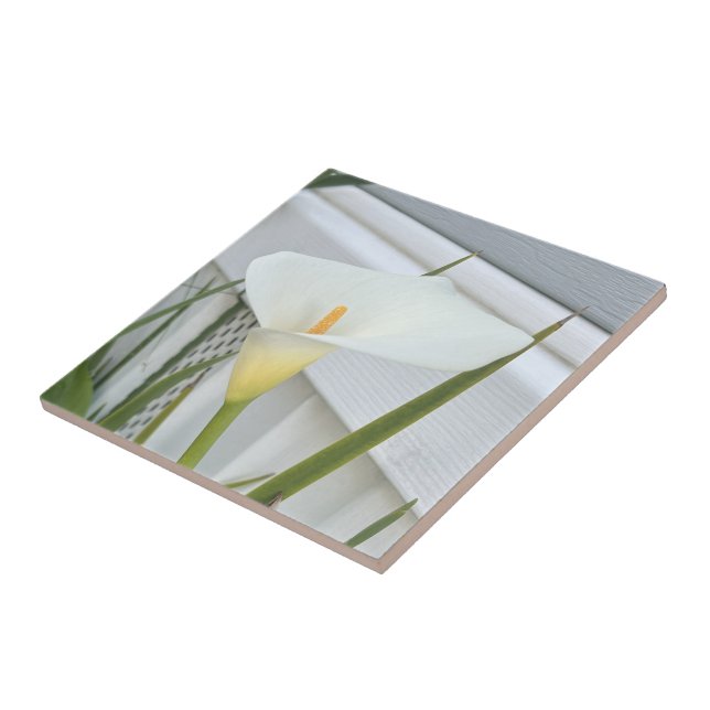 Green Thumb Garden Plant White Calla Lily Flower Tile (Side)
