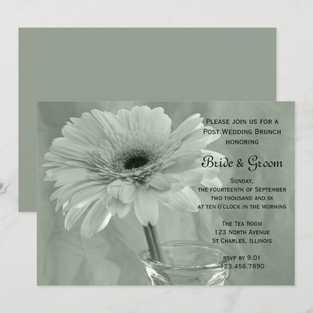 Green Tinted Daisy Post Wedding Brunch Invitation (Front/Back)