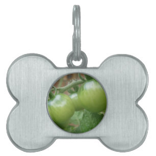 Green Tomatoes Pet Tag
