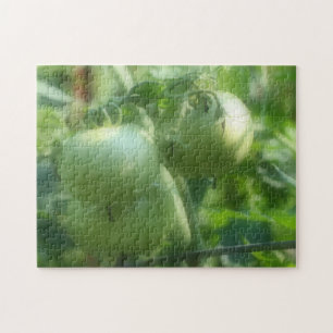 Green Tomatoes With Raindrops Nature Jigsaw Puzzle
