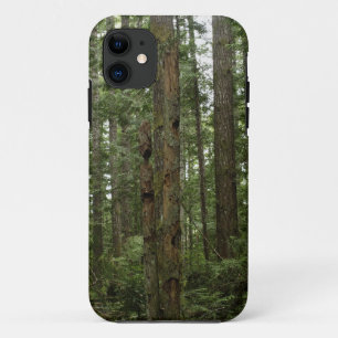 Green Totem Tree Forest Nature Scene iPhone 11 Case