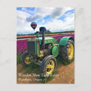 Green Tractor in Tulip Field, Oregon Postcard