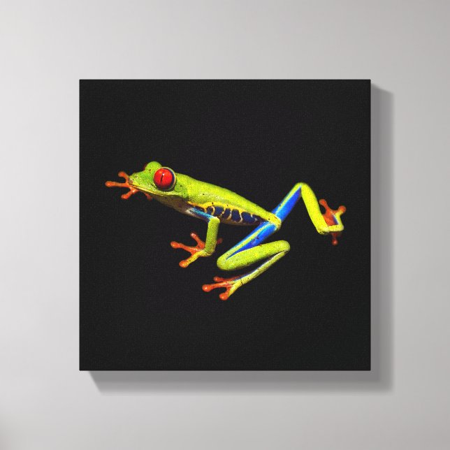 Green Tree Frog Canvas Print (Front)