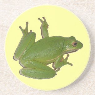 Green Tree Frog Coaster
