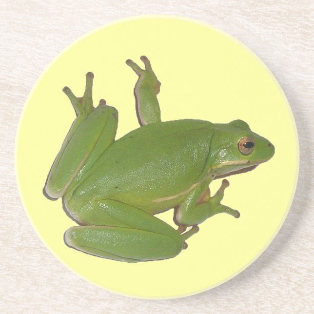 Green Tree Frog Coaster (Front)