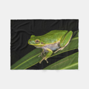 Green Tree Frog (Hyla cinerea) 2 Fleece Blanket