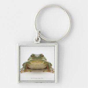 Green tree frog (Hylidae cinerea) Key Ring