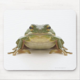 Green tree frog (Hylidae cinerea) Mouse Mat