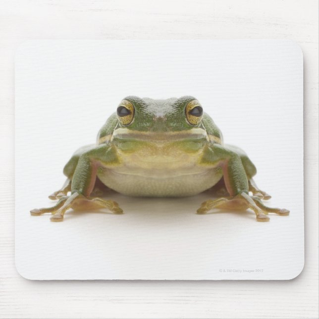 Green tree frog (Hylidae cinerea) Mouse Mat (Front)