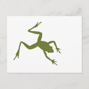 Green Tree Frog Illustration Postcard