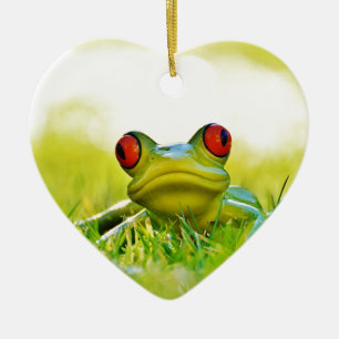Green Tree Frog In The Grass Ceramic Ornament
