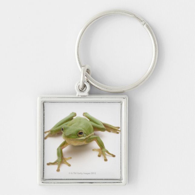 Green Tree Frog Key Ring (Front)