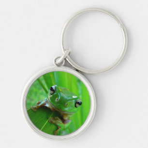 Green Tree Frog Keychain