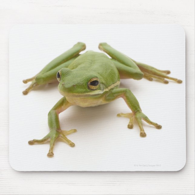 Green Tree Frog Mouse Mat (Front)