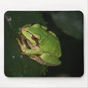 Green Tree Frog Mousepad
