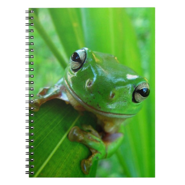 Green Tree Frog Notebook (Front)