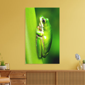 Green Tree Frog on Reed Nature Macro Canvas Wall Print