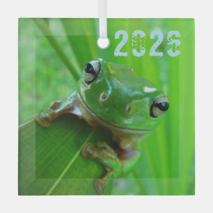 Green Tree Frog Ornament