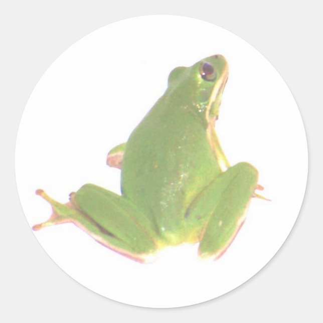 Green Tree Frog Sticker - Small (Front)