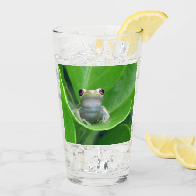 Green Tree Frog Tumbler / Shaker Glass (Back Ice)
