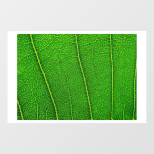 Green Tree Leaf Window Cling
