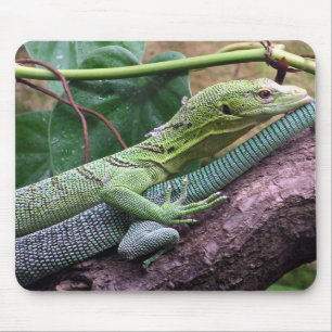 Green Tree Monitor - Varanus prasinus Mouse Mat